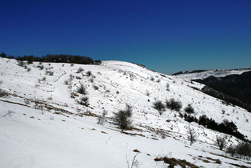 034 - Crimea March 12-21-20.jpg