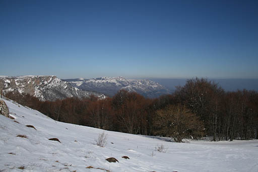 050 - Crimea March 13-37-20.jpg
