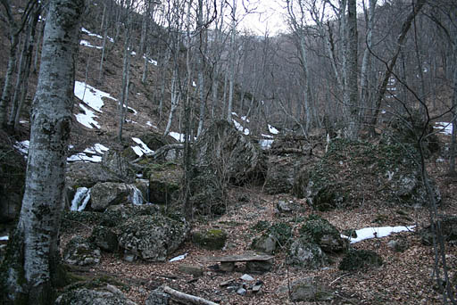 066 - Crimea March 16-11-04.jpg