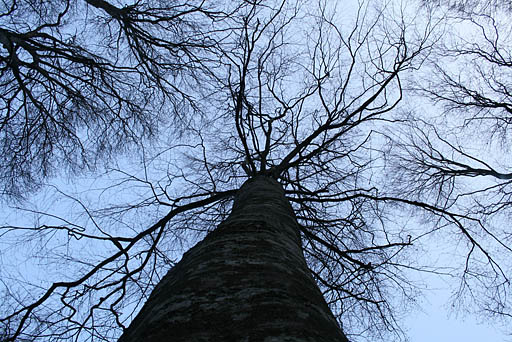 076 - Crimea March 16-14-12.jpg