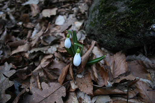 086 - Crimea March 16-22-00.jpg