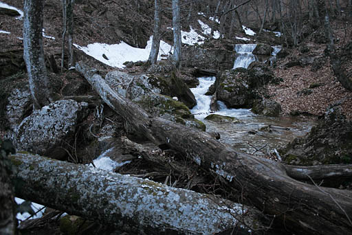 087 - Crimea March 16-23-44.jpg