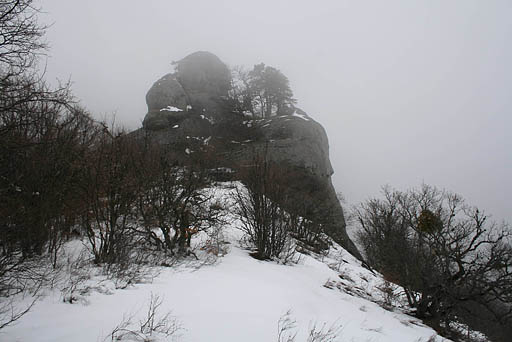 116 - Crimea March 11-06-10.jpg