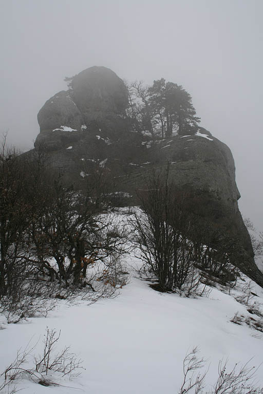 117 - Crimea March 11-06-22.jpg