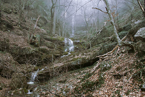 121 - Crimea March 13-11-14.jpg