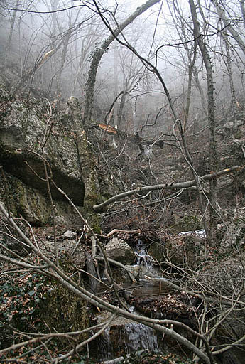 127 - Crimea March 13-18-16.jpg