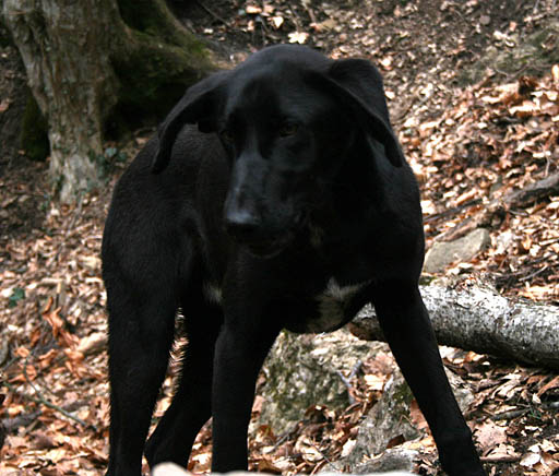 130 - Crimea March 13-20-24.jpg