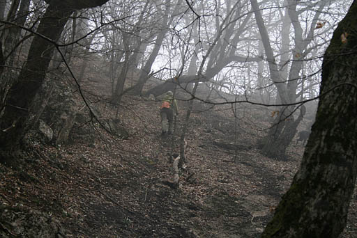 131 - Crimea March 13-21-14.jpg