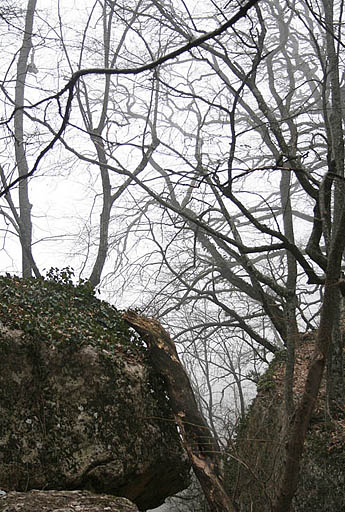 132 - Crimea March 13-22-00.jpg