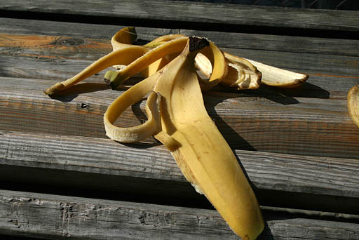 155 - Crimea March 11-47-20.jpg