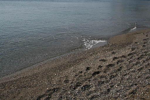 163 - Crimea March 12-02-50.jpg