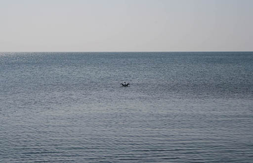 176 - Crimea March 12-11-50.jpg