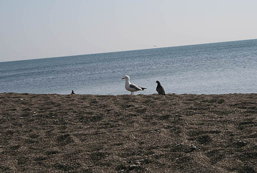 179 - Crimea March 12-42-06.jpg