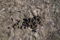 051 - Crimea March 13-38-08.jpg