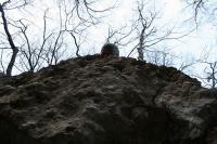 063 - Crimea March 16-10-14.jpg