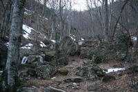 066 - Crimea March 16-11-04.jpg