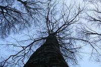 076 - Crimea March 16-14-12.jpg