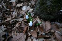 086 - Crimea March 16-22-00.jpg