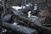 087 - Crimea March 16-23-44.jpg