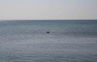 176 - Crimea March 12-11-50.jpg