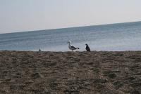 179 - Crimea March 12-42-06.jpg